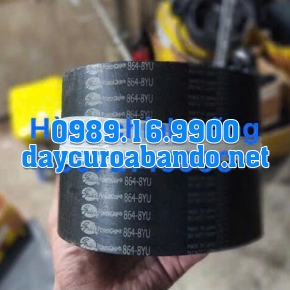 DÂY CUROA GATES 864-8YU