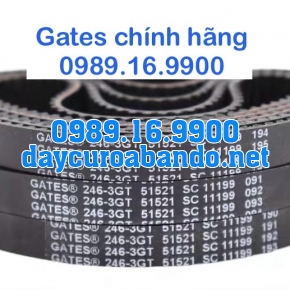 DÂY CUROA GATES 3GT CHÍNH HÃNG
