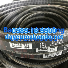 BANDO RPF5480