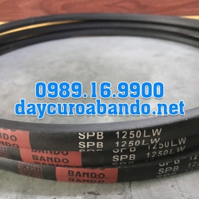 DÂY CUROA SPB1250