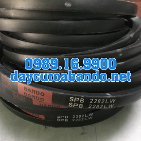 DÂY CUROA SPB2282