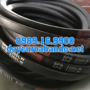 DÂY CUROA SPB2300