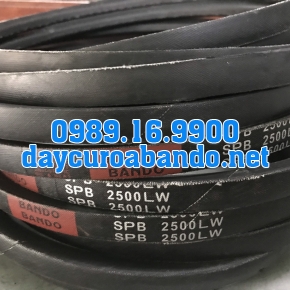 DÂY CUROA SPB2500