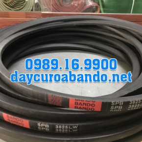 DÂY CUROA SPB3825