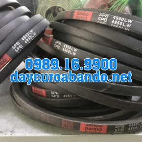 DÂY CUROA SPB4950