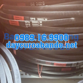 DÂY CUROA SPB5000