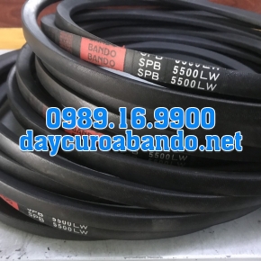 DÂY CUROA SPB5500