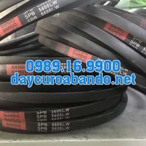 DÂY CUROA SPB5600