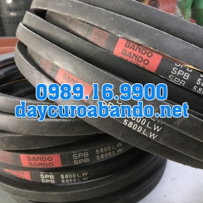BANDO SPB5800