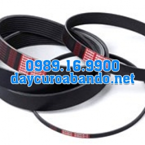 BANDO RIB ACE PJ