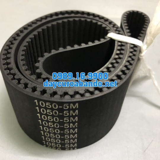 DÂY CUROA SUNDT 1050-5M