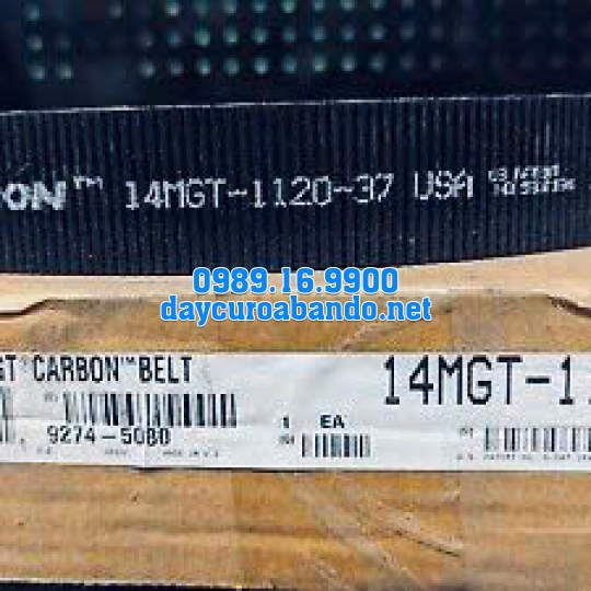 DÂY CUROA POLYCHAIN 14MGT-1120