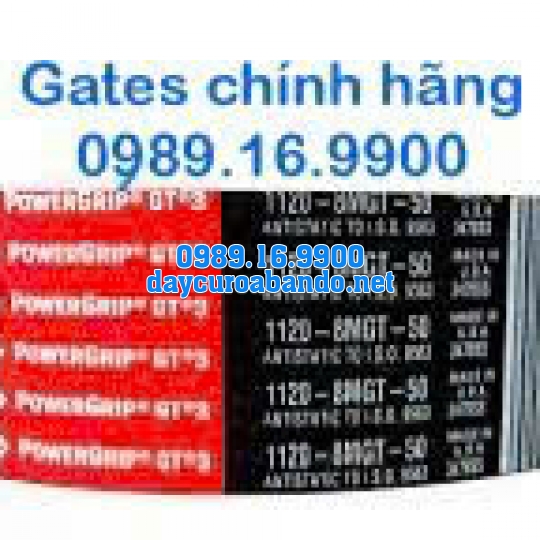 DÂY CUROA GATES 1120-8MGT