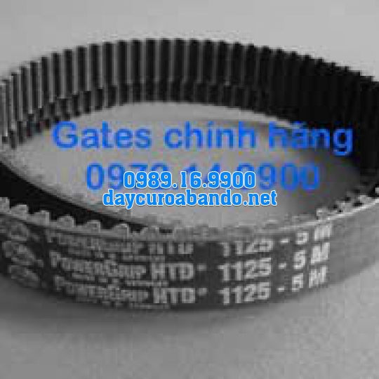 DÂY CUROA GATES 1125-5M