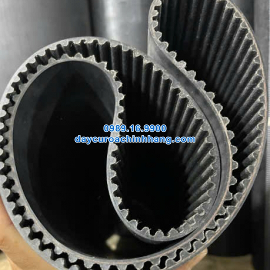 DÂY CUROA GATES 1136-8YU