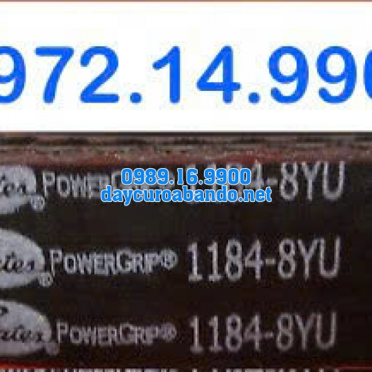 DÂY CUROA GATES 1184-8YU