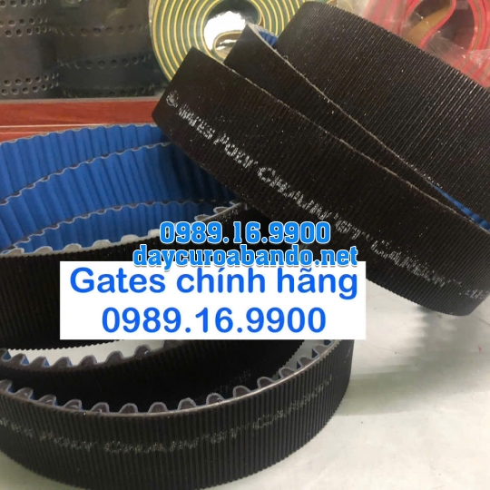 DÂY CUROA POLYCHAIN 14MGT-1260