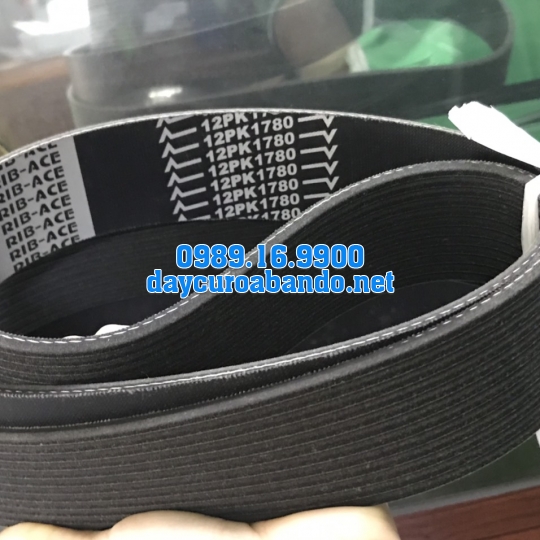 BANDO RIB ACE 12PK