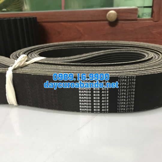 BANDO RIB ACE 12PK