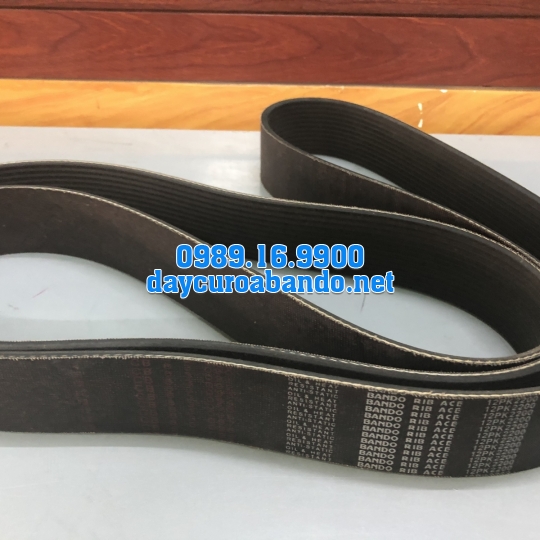 BANDO RIB ACE 12PK