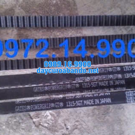 DÂY CUROA GATES 1315-5GT