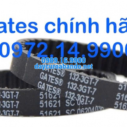 DÂY CUROA GATES 132-3GT