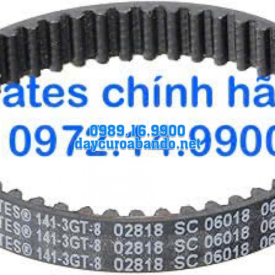 DÂY CUROA GATES 141-3GT