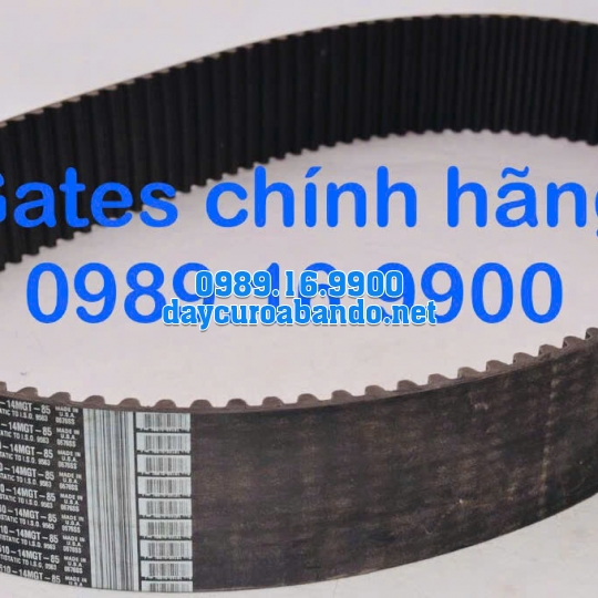 DÂY CUROA GATES 1610-14MGT