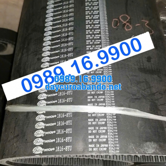 DÂY CUROA GATES 1816-8YU