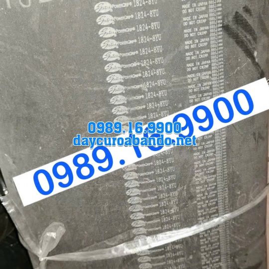 DÂY CUROA GATES 1824-8YU