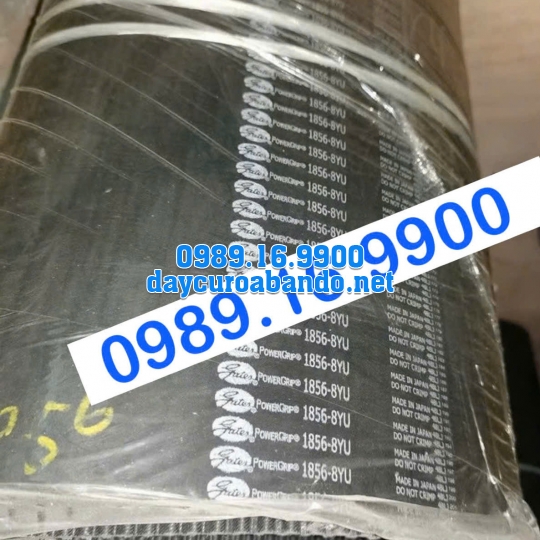 DÂY CUROA GATES 1856-8YU