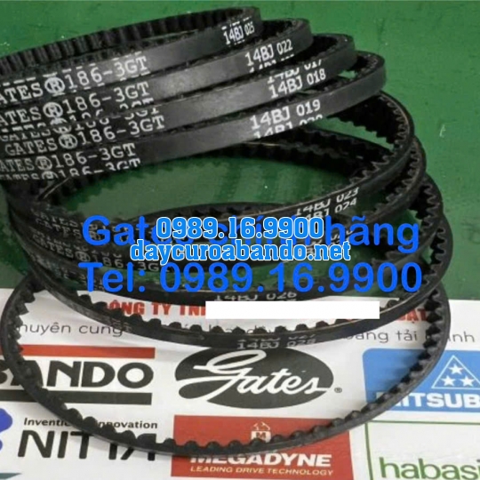 DÂY CUROA GATES 186-3GT
