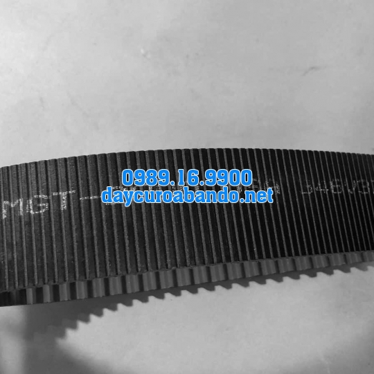 DÂY CUROA POLYCHAIN 8MGT-2000