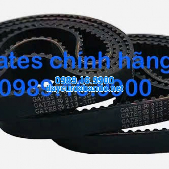 DÂY CUROA GATES 213-3GT