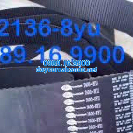 DÂY CUROA GATES 2136-8YU