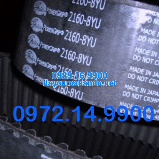 DÂY CUROA GATES 2160-8YU