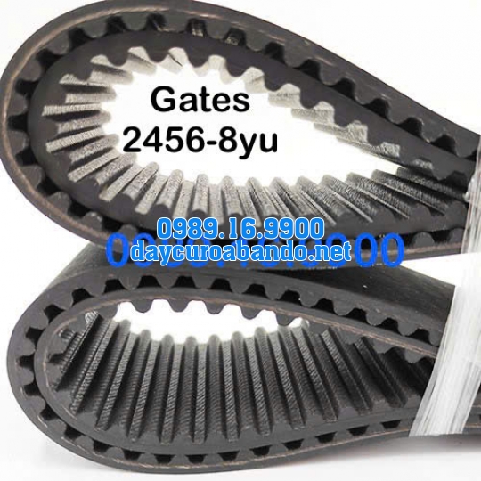 DÂY CUROA GATES 2456-8YU