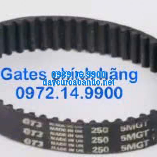 DÂY CUROA GATES 250-5MGT