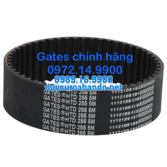 DÂY CUROA GATES 255-5M