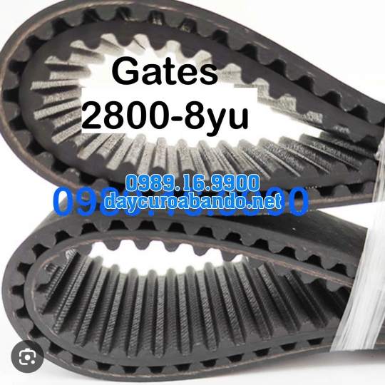 DÂY CUROA GATES 2800-8YU