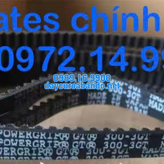 DÂY CUROA GATES 300-3GT