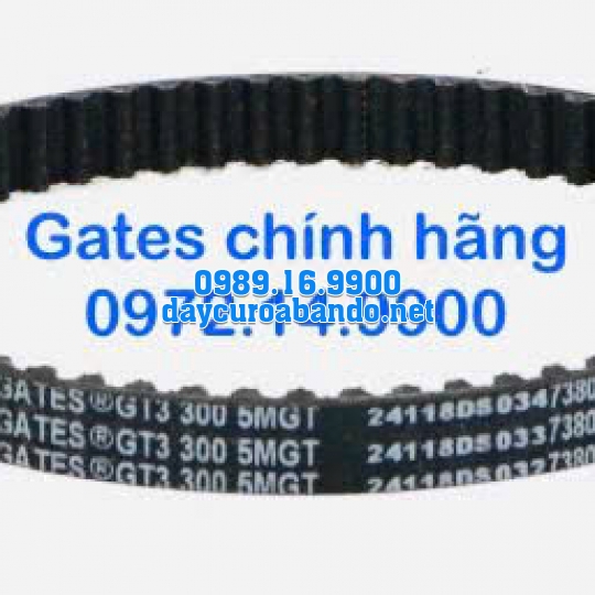 DÂY CUROA GATES 300-5MGT