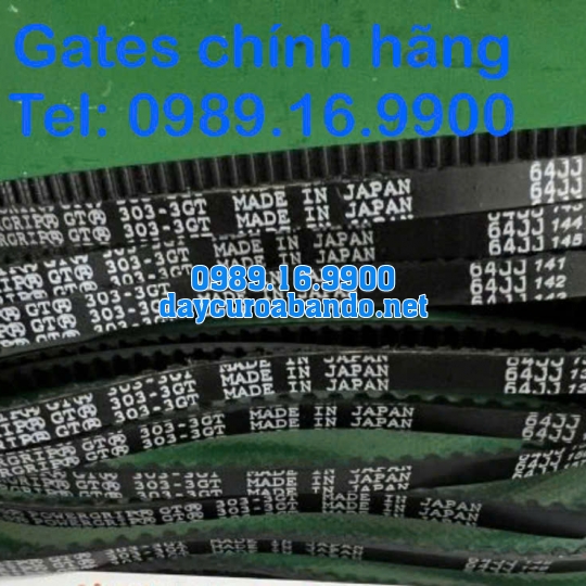 DÂY CUROA GATES 303-3GT