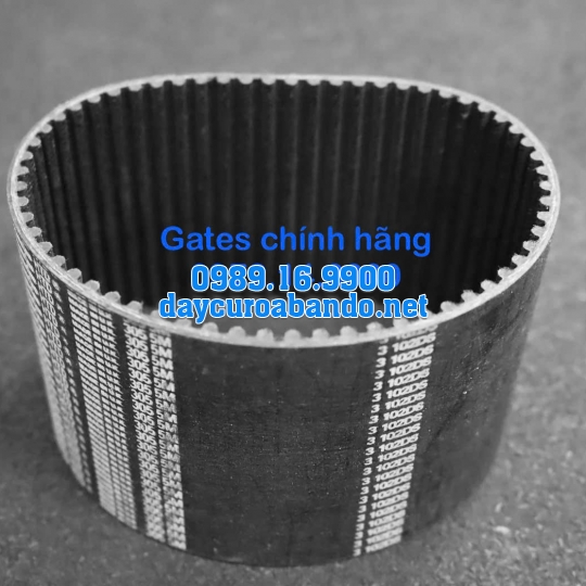 DÂY CUROA GATES 305-5M
