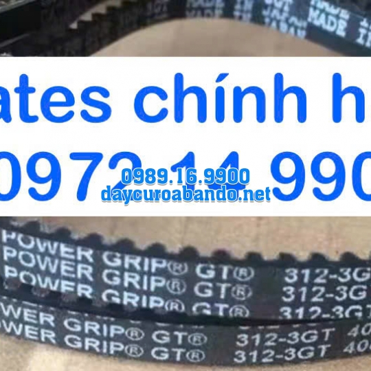 DÂY CUROA GATES 312-3GT