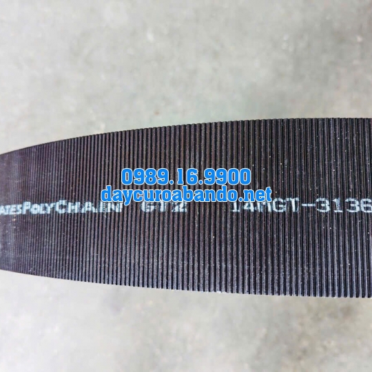 DÂY CUROA POLYCHAIN 14MGT-3136