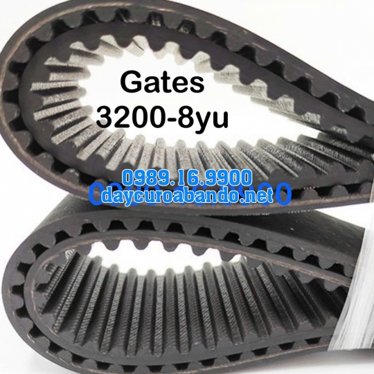 DÂY CUROA GATES 3200-8YU