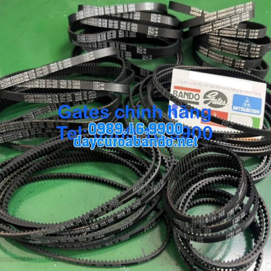 DÂY CUROA GATES 324-3GT