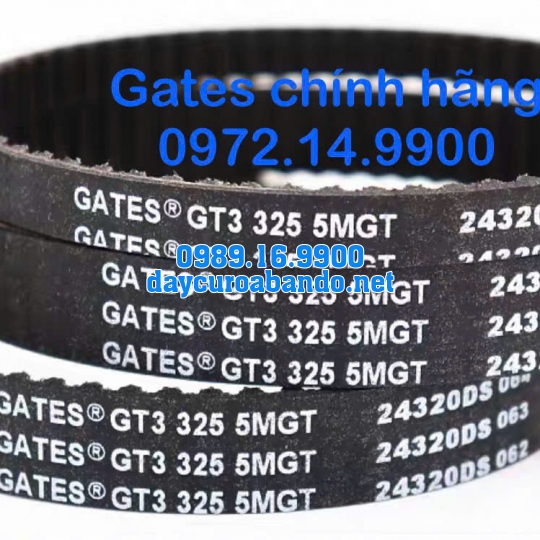 DÂY CUROA GATES 325-5MGT