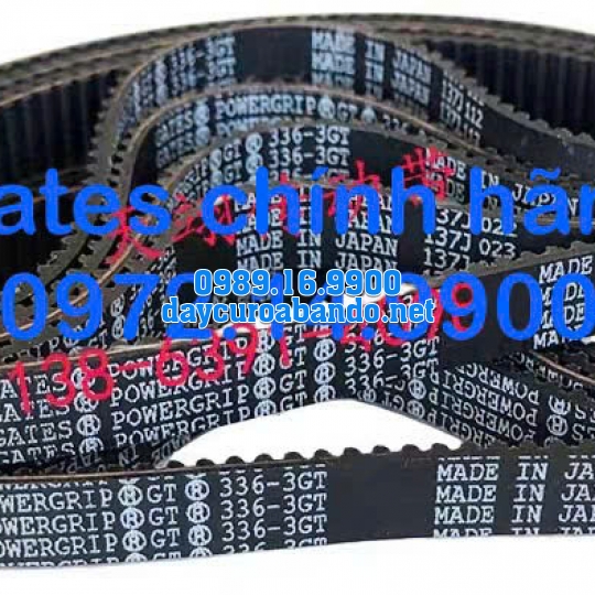 DÂY CUROA GATES 336-3GT
